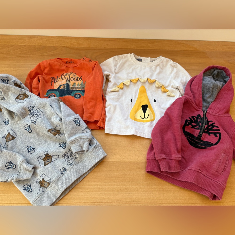 Baby 12 months Shirts and Hoodies Set